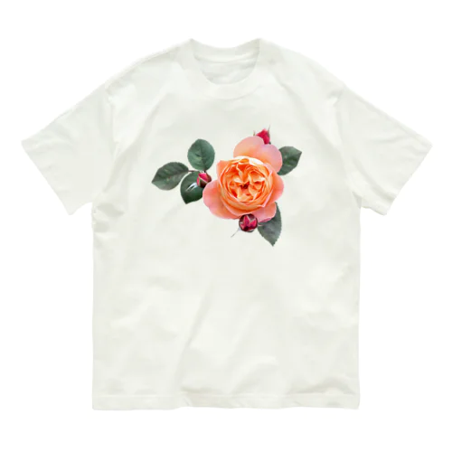 【ロマン】蕾と葉のついたオレンジピンクの薔薇 オーガニックコットンTシャツ