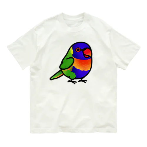 Chubby Bird　ゴシキセイガイインコ オーガニックコットンTシャツ