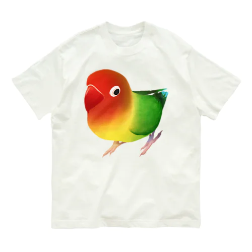 ボタンインコ　おすましルリゴシボタンインコ【まめるりはことり】 オーガニックコットンTシャツ