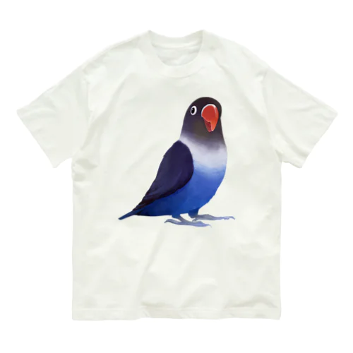 ボタンインコ　おすましコバルトブルー【まめるりはことり】 Organic Cotton T-Shirt