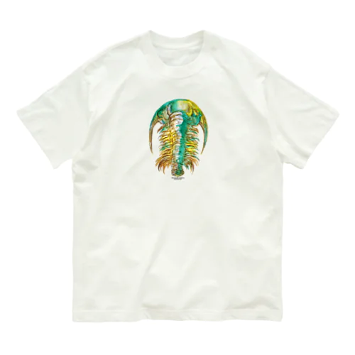 Paradoxides Organic Cotton T-Shirt