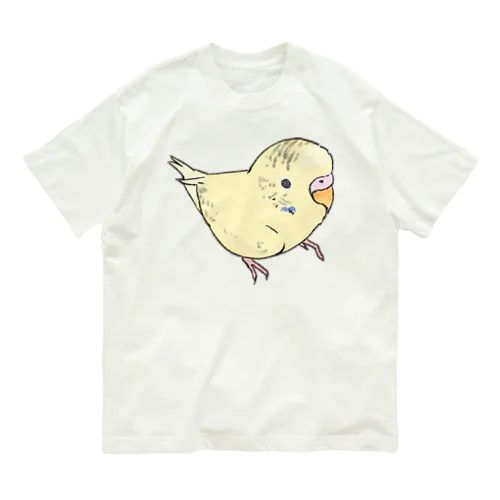 可愛いセキセイインコ　おすましちゃん【まめるりはことり】 オーガニックコットンTシャツ