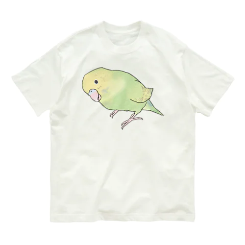 首傾げ　スパングルセキセイインコちゃん【まめるりはことり】 オーガニックコットンTシャツ