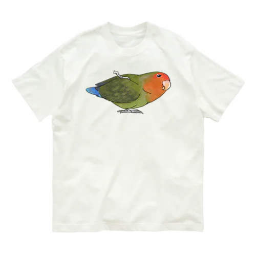 おすましコザクラインコ　きなこちゃん【まめるりはことり】 オーガニックコットンTシャツ