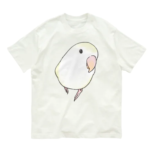 コザクラインコ　バイオレットパイドちゃん【まめるりはことり】 オーガニックコットンTシャツ