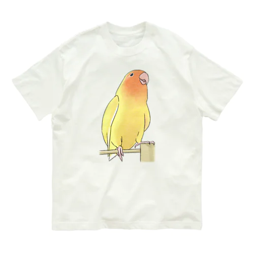 得意げ可愛い　コザクラインコちゃん【まめるりはことり】 Organic Cotton T-Shirt