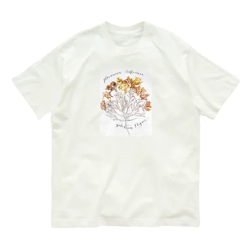 海のおまもり。海藻の森。 オーガニックコットンTシャツ