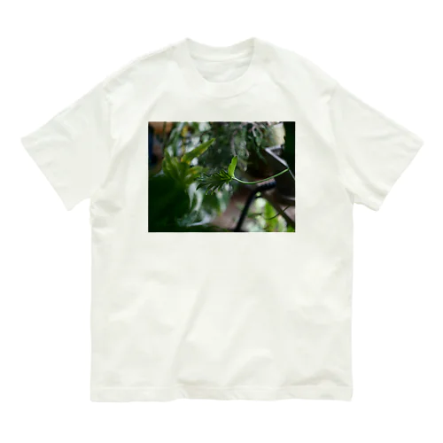 Dendoron Organic Cotton T-Shirt