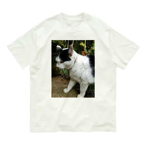 うちの猫〜泥棒猫〜 オーガニックコットンTシャツ