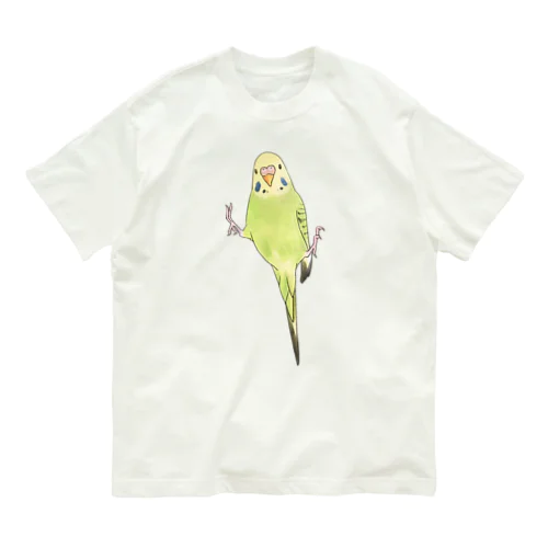 ピタッとセキセイインコちゃん【まめるりはことり】 オーガニックコットンTシャツ