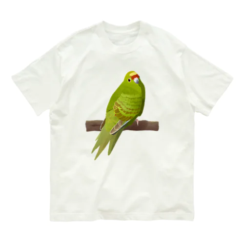 キガシラアオハシインコ(前面プリント) オーガニックコットンTシャツ