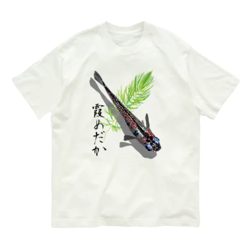 霞めだか オーガニックコットンTシャツ