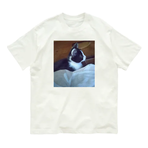 興味ワクワク テールくんは猫たん Organic Cotton T-Shirt