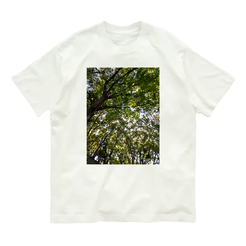 緑 Organic Cotton T-Shirt