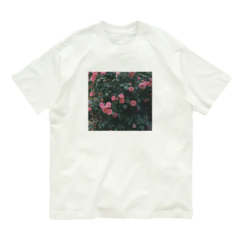 Park in May3 Organic Cotton T-Shirt