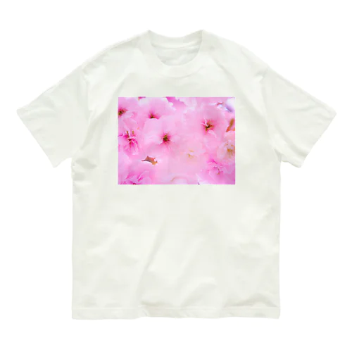 double cherry blossom オーガニックコットンTシャツ