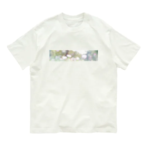 Ray series 03 光　虹色　 オーガニックコットンTシャツ