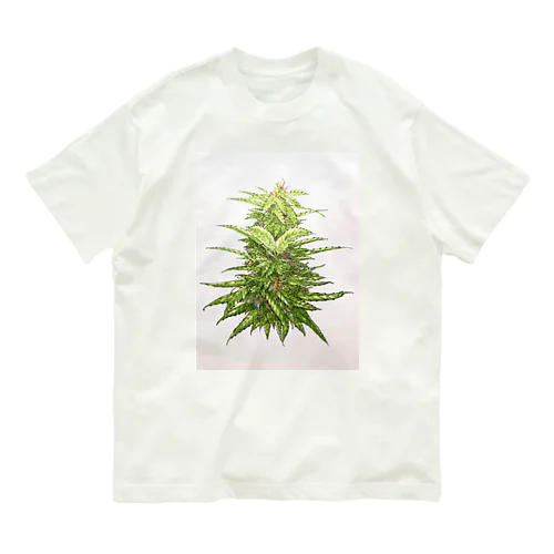 chill time Organic Cotton T-Shirt