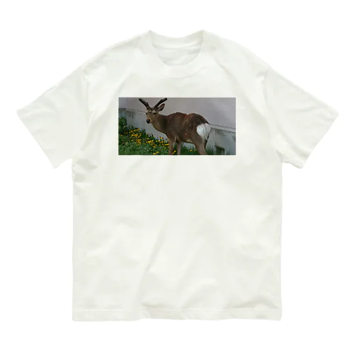 北海道根室市の鹿さん Organic Cotton T-Shirt