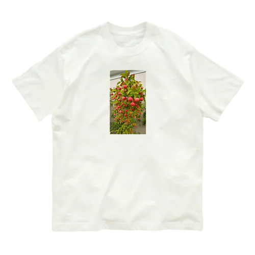 赤丸急上昇 Organic Cotton T-Shirt