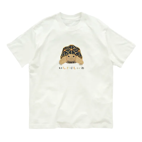 いんどほしがめさん オーガニックコットンTシャツ