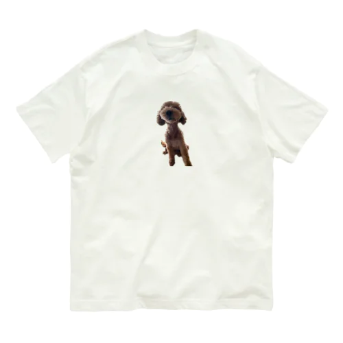 テオくん Organic Cotton T-Shirt