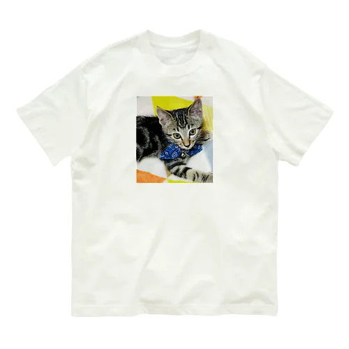 猫のらむくん01 オーガニックコットンTシャツ