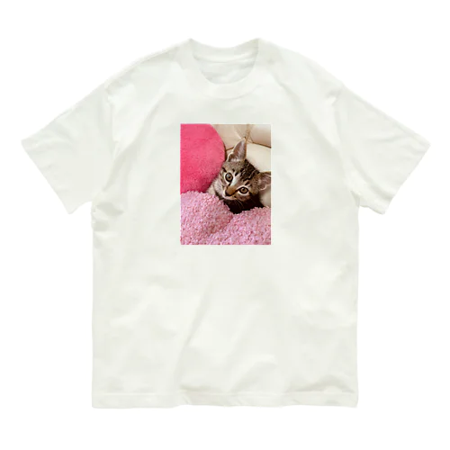 猫のらむくん05 オーガニックコットンTシャツ