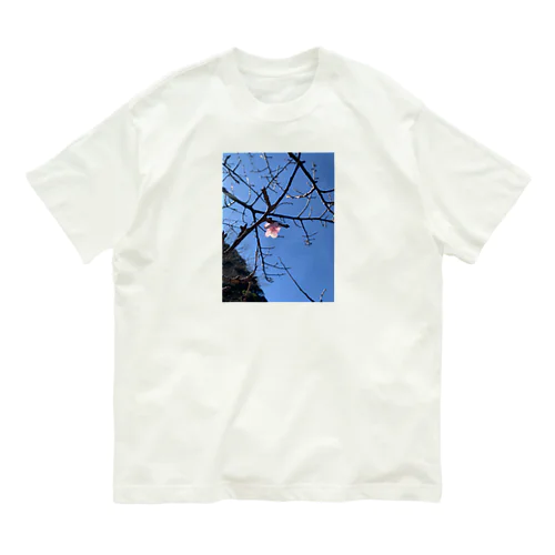 一輪ノ桜 オーガニックコットンTシャツ