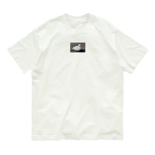 アヒル Organic Cotton T-Shirt