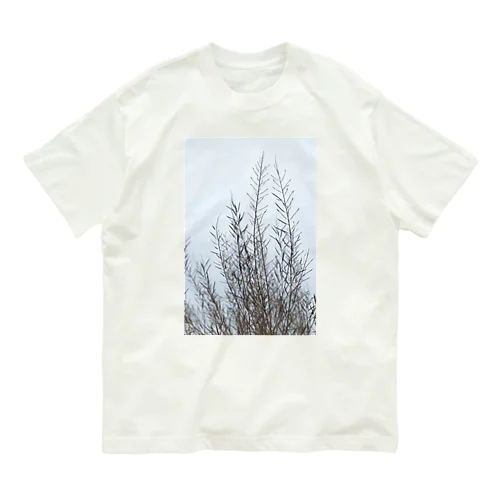 散歩道|草を分け|タテ オーガニックコットンTシャツ