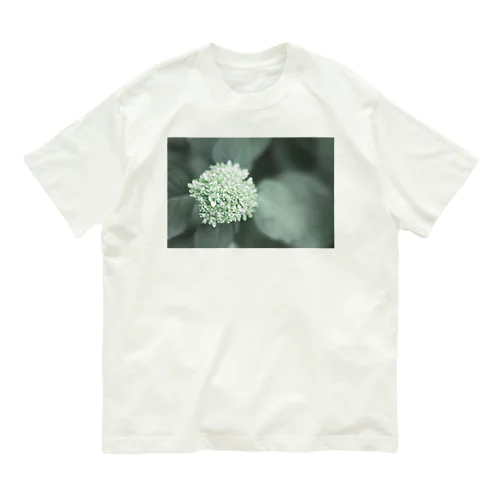 紫陽花はじめ オーガニックコットンTシャツ