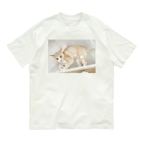 スーパーチェルシーモード Organic Cotton T-Shirt