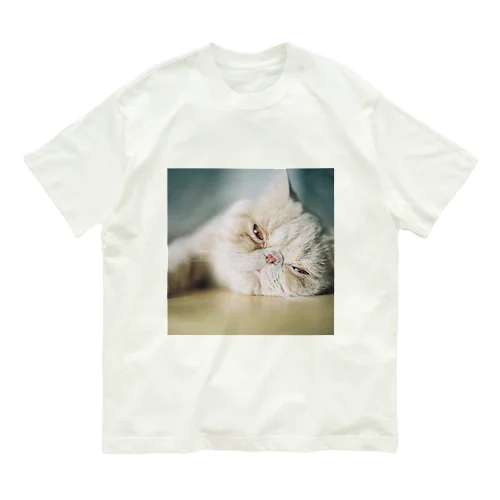 とろけるまるちゃん表だけ Organic Cotton T-Shirt