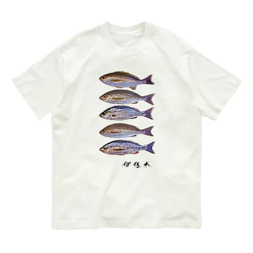 【魚シリーズ】伊佐木(イサキ)♪5匹♪2105 オーガニックコットンTシャツ