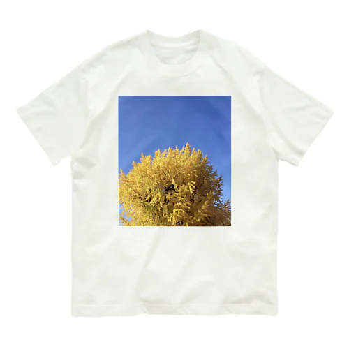 ある日のイチョウ Organic Cotton T-Shirt