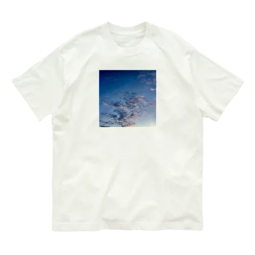 空模様  信号待ち Organic Cotton T-Shirt