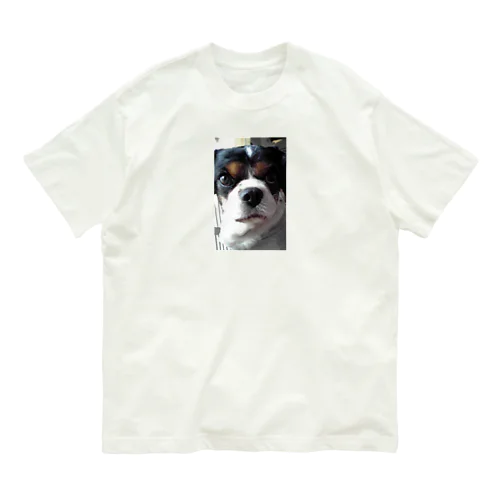 るちゃん Organic Cotton T-Shirt