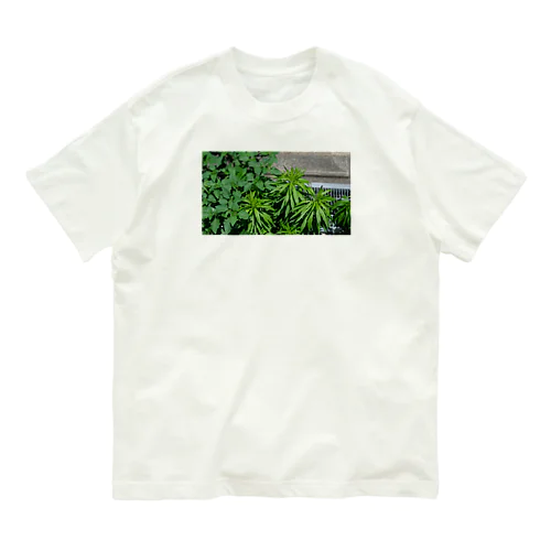 Leaves  Organic Cotton T-Shirt