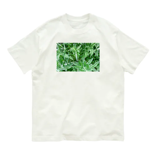 とげとげしい Organic Cotton T-Shirt