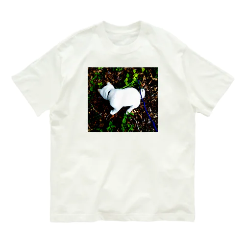 しろい柴犬の後ろ姿 Organic Cotton T-Shirt
