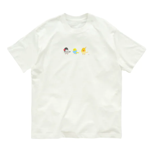 インコズ オーガニックコットンTシャツ