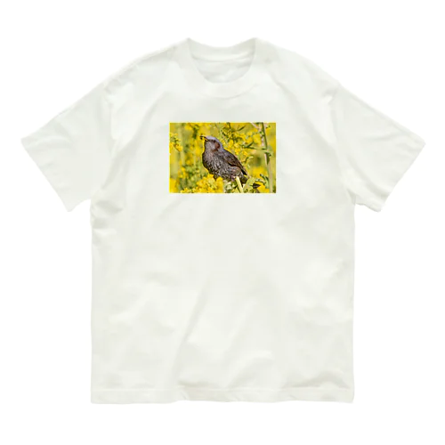 菜の花を食べるヒヨドリ Organic Cotton T-Shirt