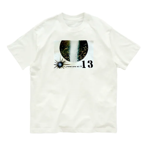 【NO13. clearing Cosmo〜originalspray art〜】 オーガニックコットンTシャツ