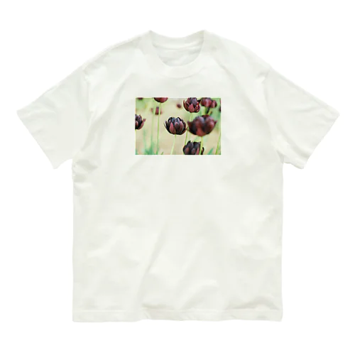 tulips オーガニックコットンTシャツ