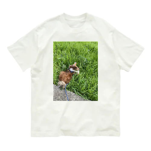 いぬ2 Organic Cotton T-Shirt
