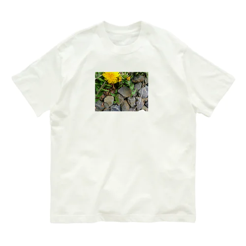 岩岩LION Organic Cotton T-Shirt