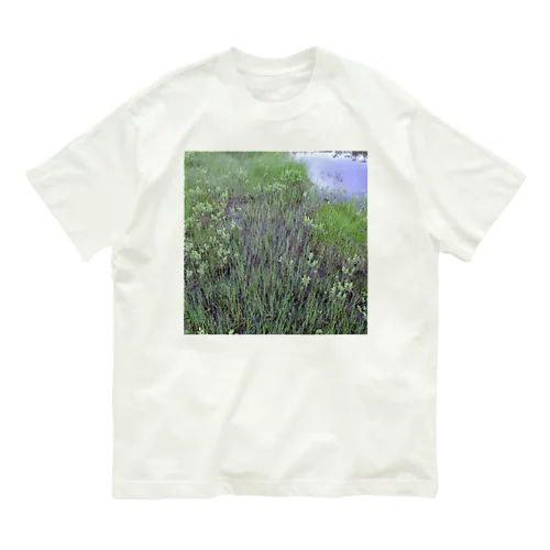 尾瀬 Organic Cotton T-Shirt