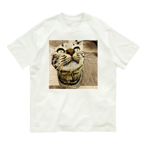 保護猫のこーりん Organic Cotton T-Shirt