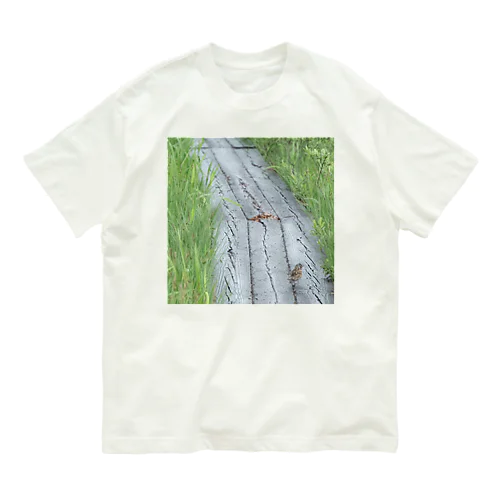 ホオアカの寄り道② Organic Cotton T-Shirt